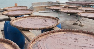 Tai o güneşin altında kurutulmuş karides yapıştırın