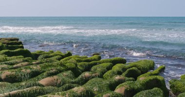 Güzel Laomei yeşil resif Tayvan 