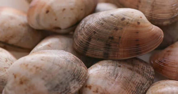 Vongole Crude Fresche Vicino — Foto Stock