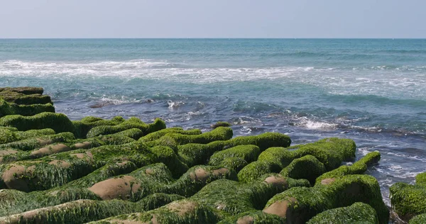 Güzel Laomei yeşil resif Tayvan 