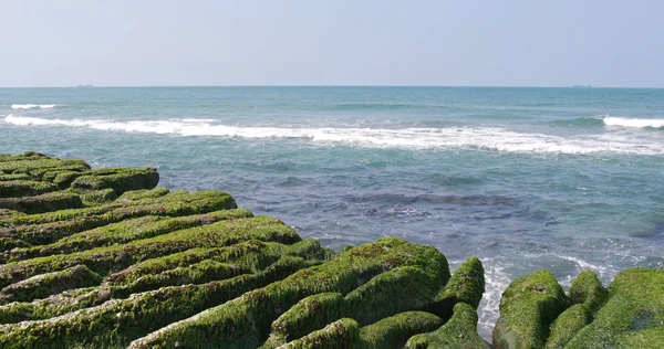 Yeni Taipei City, Tayvan ile güneş ışığı güzel yeşil resif