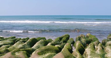 Taipei şehir Laomei yeşil resif 