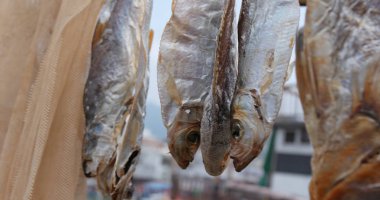 Tuzlu balık güneş ışığı altında asılı 