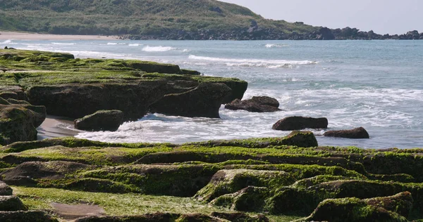 Hermoso Arrecife Verde Laomei Taiwán — Foto de Stock