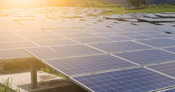 Güneş Enerjisi Paneli Bitki Stasyonu — Stok fotoğraf