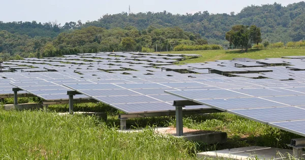 Güneş paneli güç istasyonu bitki