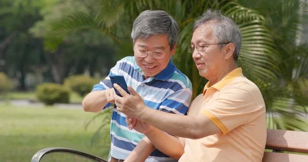 Senior old male friends chatting together at outdoor park, showing photo on cellphone to other