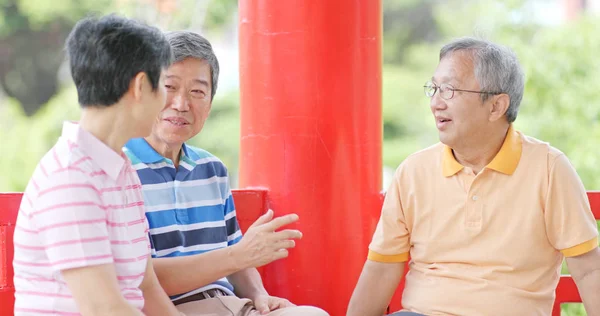 Amigos Idosos Conversam Juntos Parque Livre — Fotografia de Stock