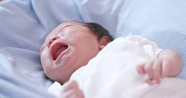 Aasialainen Vastasyntynyt Vauva Itkee Sängyssä — kuvapankkivalokuva