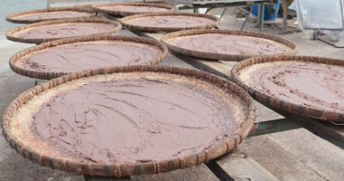 Güneşin altında kurutulmuş karides yapıştırın