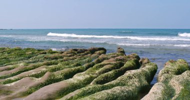 Laomei yeşil resif Taipei