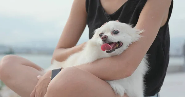 Mulher Brincar Com Seu Cão Rua Livre — Fotografia de Stock