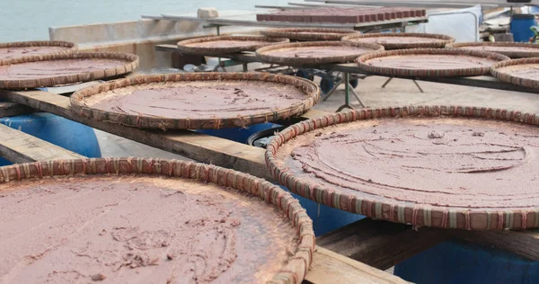 Shrimp Paste Being Dried Sun — Stock Photo, Image