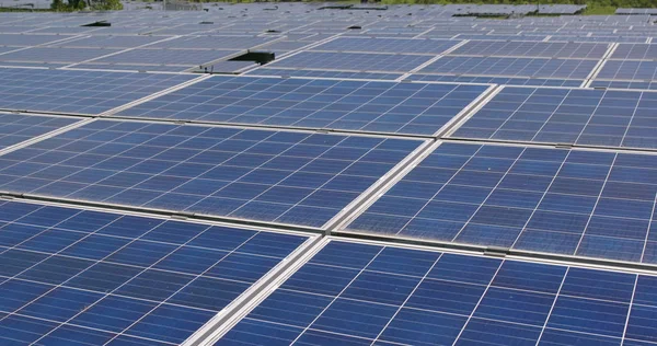 Güneş paneli bitki İstasyonu