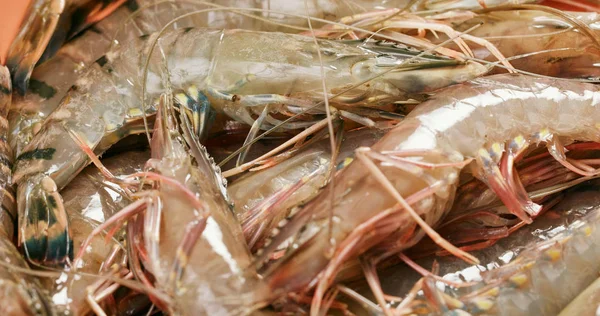 Rohe Garnelen Ungekocht — Stockfoto