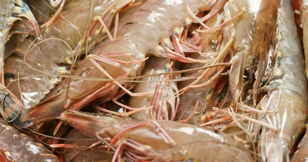 Rohe Garnelen Ungekocht — Stockfoto