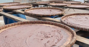 Tai o güneşin altında kurutulmuş karides yapıştırın