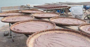 Güneşin içinde Tai O Hong Kong altında kurutulmuş karides yapıştırın