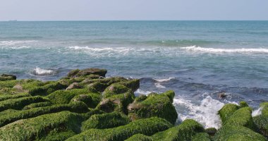 Laomei yeşil resif Taipei, Tayvan