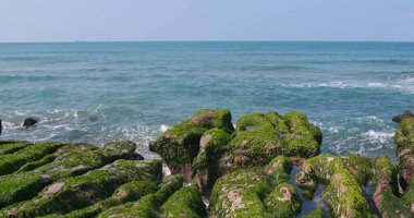 Güzel Laomei yeşil resif Tayvan