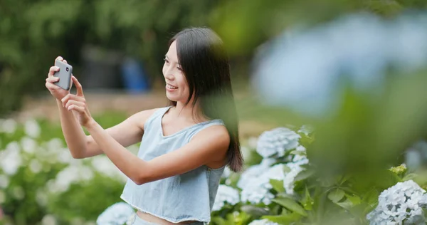 Wanita Mengambil Foto Taman Bunga Hydrangea — Stok Foto