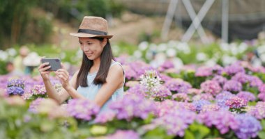 Cep telefonu ortanca Bahçe fotoğraf çekici kadın