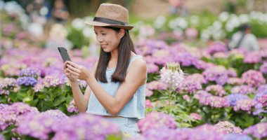 Cep telefonu ortanca Bahçe fotoğraf çekici kadın