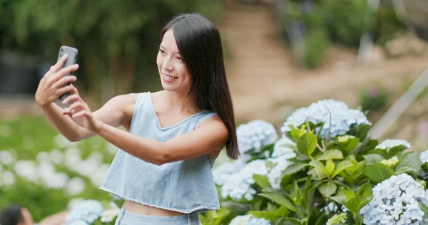 Frau Fotografiert Mit Handy Hortensienfeld — Stockfoto