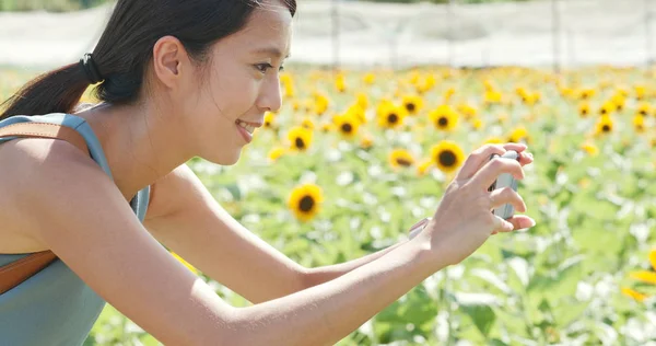 Wanita Mengambil Foto Ladang Bunga Matahari — Stok Foto
