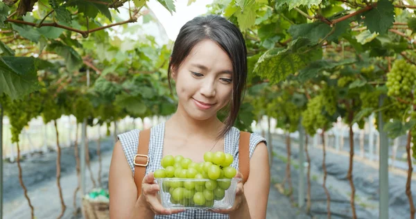 Lycklig Kvinna Håller Mogen Skörd Gröna Druvor Trädgården — Stockfoto
