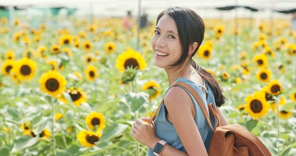 Frau Besucht Sonnenblumenfeld — Stockfoto