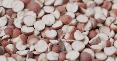 Çin Gordon euryale tohumları