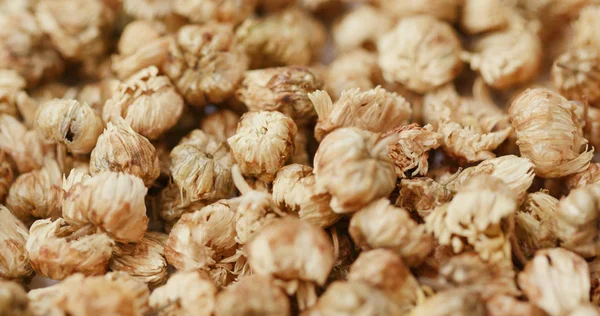 Medizin Trockene Chrysanthemen Aus Nächster Nähe — Stockfoto