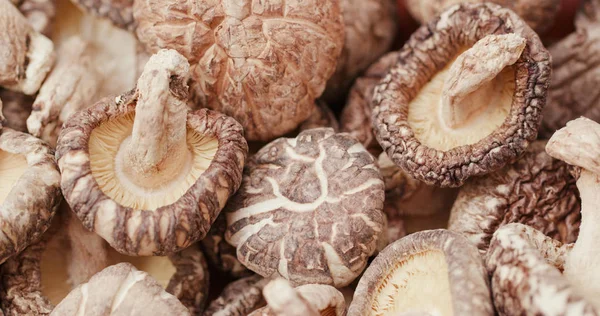 Trockene Pilze Schüssel Aus Nächster Nähe — Stockfoto