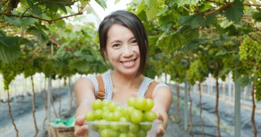 Yeşil üzüm grupta tutan kadın