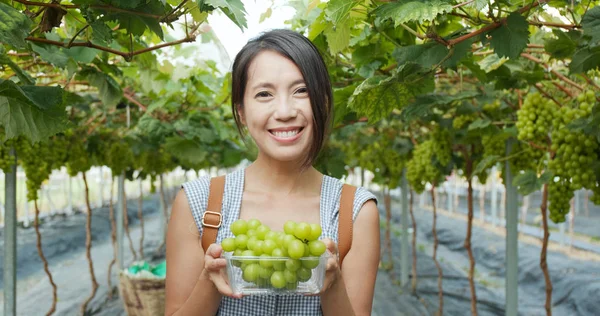 Mujer Feliz Sosteniendo Una Cosecha Madura Uvas Verdes Jardín — Foto de Stock