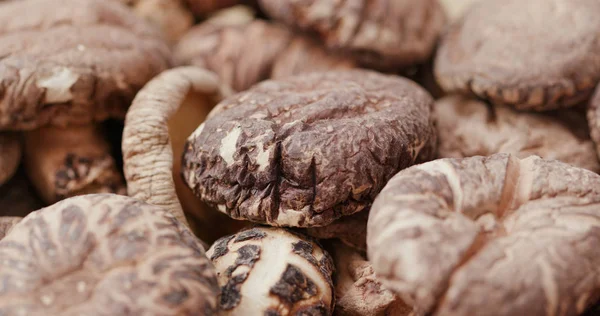 Hoop Droge Champignons Close — Stockfoto