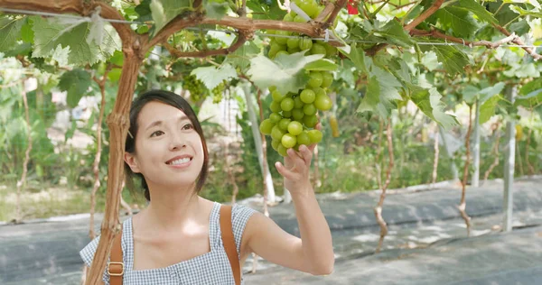 Woman visit green farm