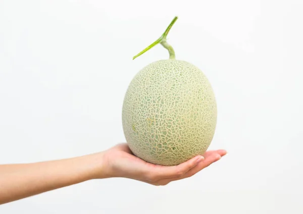 Hand Holding Ripe Melon — Stock Photo, Image