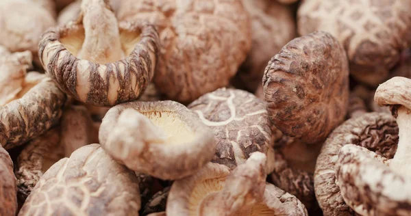 Japanse Droge Champignons Close — Stockfoto