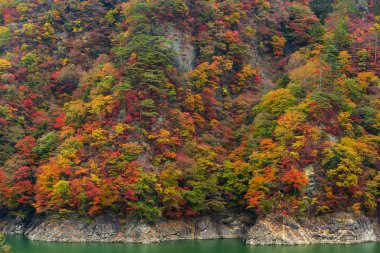 Sonbahar sezonu güzel göl
