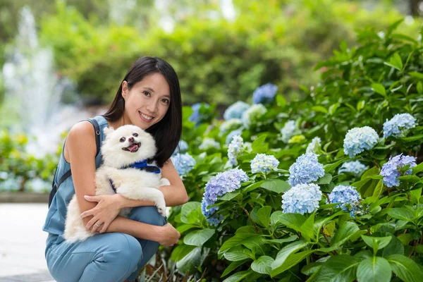 Mulher Com Seu Cão Parque Hydrangea — Fotografia de Stock