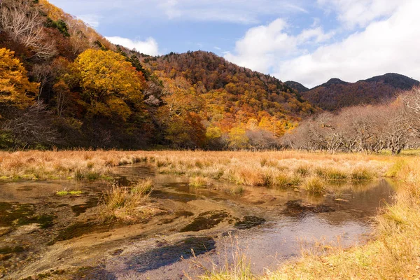 Красивый Осенний Пейзаж Никко Япония — стоковое фото