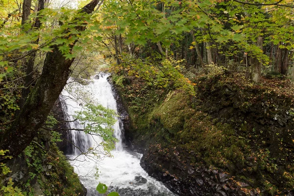 Oirase mountain stream in Towada, Japan