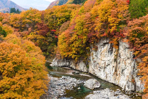 Kinugawa Autumn Season Japan — Stock Photo, Image