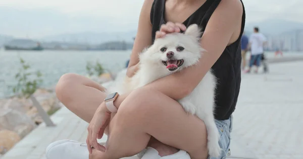Pet Proprietário Com Seu Cão Pomerânia Parque Livre — Fotografia de Stock