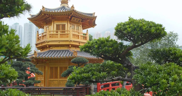 Διαμάντι Λόφο Χονγκ Κονγκ Απριλίου 2018 Γυναικείο Μοναστήρι Chi Lin — Φωτογραφία Αρχείου