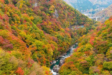 Sonbahar manzara Kinugawa, Japonya