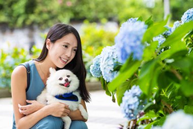 Pomeranya köpeği park açık adlı kadınla