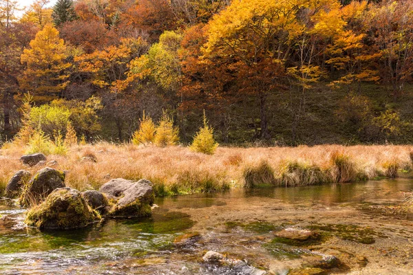 Beau Paysage Automne Nikko Japon — Photo